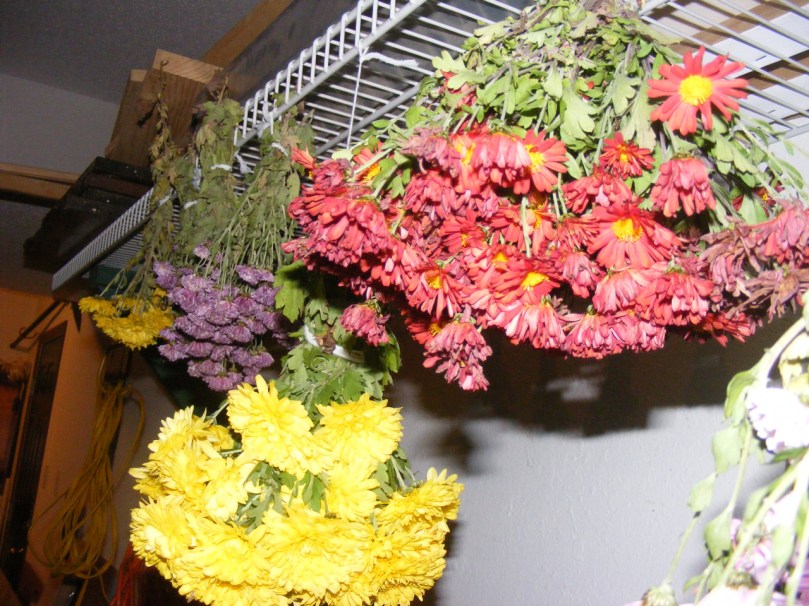 tumblr_nzrujjSEnV1uuuqe7o6_1280